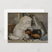 Perzisch katje Gevist Briefkaart (Voorkant / Achterkant)