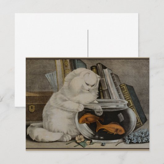 Perzisch katje Gevist Briefkaart (Voorkant / Achterkant)