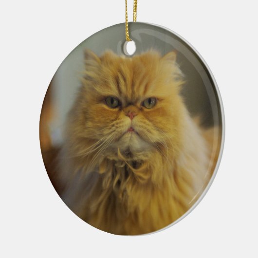 Perzisch kattenhuis keramisch ornament (Links)