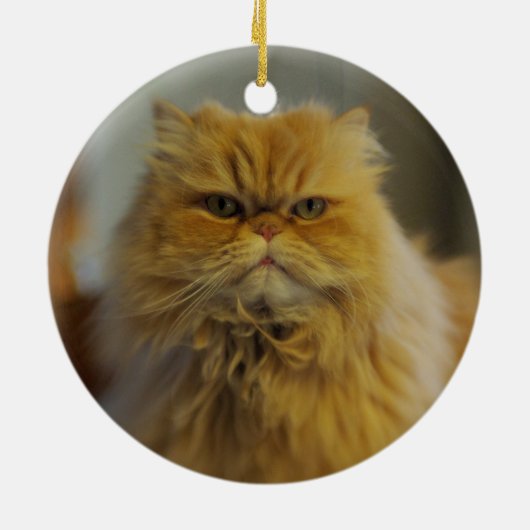 Perzisch kattenhuis keramisch ornament (Achterkant)