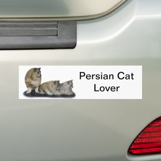 Perzisch kattewerk bumpersticker (Op auto)