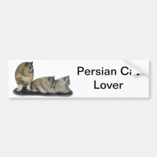 Perzisch kattewerk bumpersticker