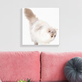 Perzisch kitten (3 maanden oud) canvas afdruk (Insitu (Woonkamer))