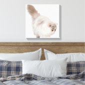 Perzisch kitten (3 maanden oud) canvas afdruk (Insitu (Slaapkamer))