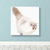 Perzisch kitten (3 maanden oud) canvas afdruk (Insitu (Houten vloer))