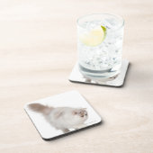 Perzisch kitten (3 maanden oud) drankjes onderzetter (Rechterzijde)