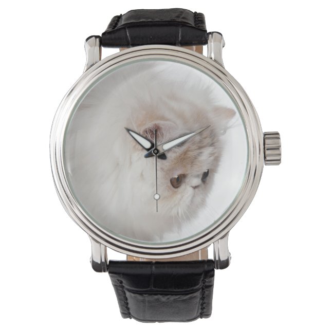 Perzisch kitten (3 maanden oud) horloge (Voorkant)
