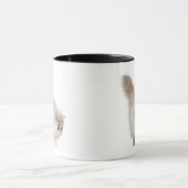 Perzisch kitten (3 maanden oud) mok (Midden)
