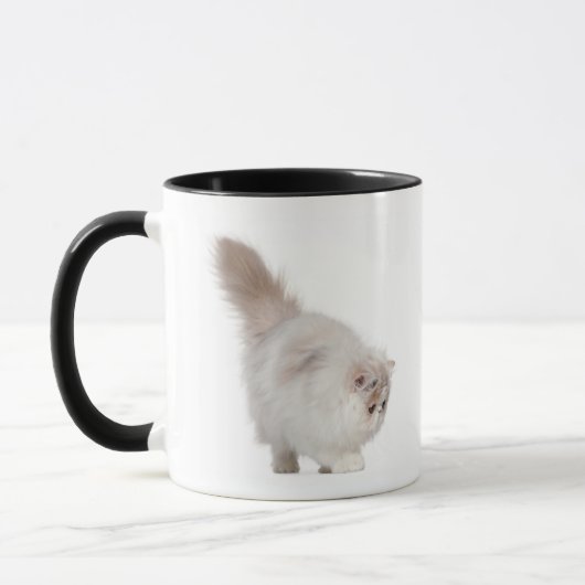 Perzisch kitten (3 maanden oud) mok (Links)