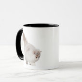 Perzisch kitten (3 maanden oud) mok (Voorkant links)