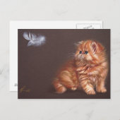 Perzisch kitten en veer briefkaart (Voorkant / Achterkant)