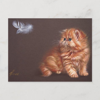 Perzisch kitten en veer briefkaart