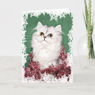 Perzisch kitten kerstmis feestdagen kaart