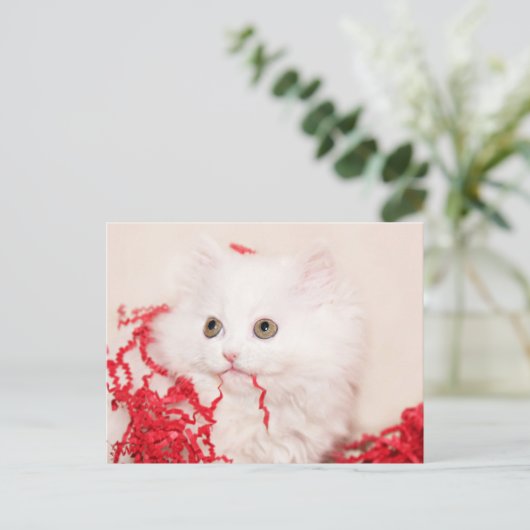 Perzisch kitten kerstmis feestdagenkaart (Staand voorkant)