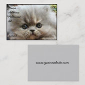 Perzisch kitten visitekaartje groot (Voorkant / Achterkant)