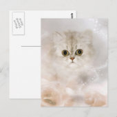 Perzisch kittengezicht briefkaart (Voorkant / Achterkant)