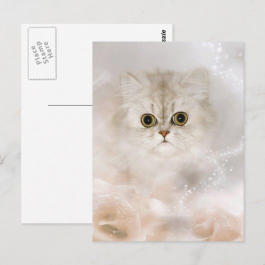 Perzisch kittengezicht briefkaart (Voorkant / Achterkant)