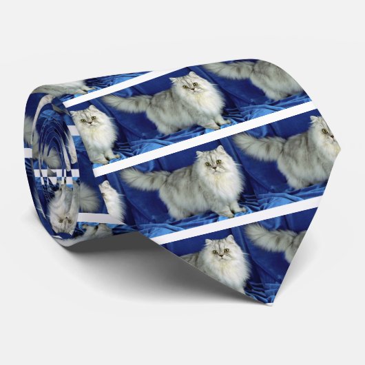 Perzisch, pewter stropdas (Opgerold)