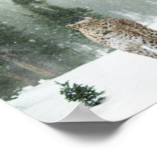 Perzisch Poster sneeuwblaasje (Hoek)