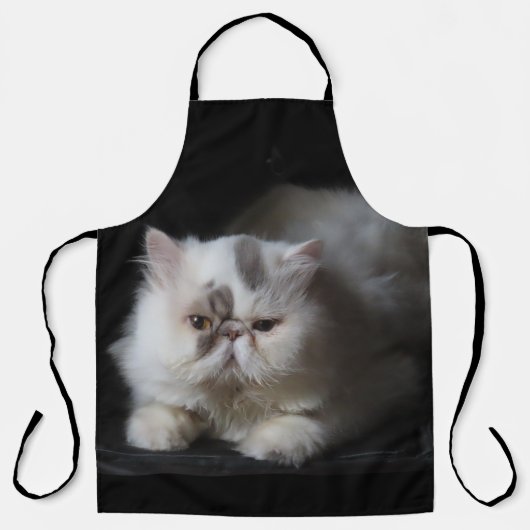 perzisch, schattig, kat, dier, geïsoleerd, gezelsc schort (Voorkant)
