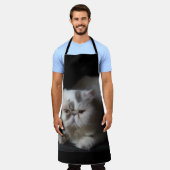 Perzisch, schattig, kat, dier, geïsoleerd, huisdie schort (Gedragen)