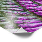 Perzisch schild foto afdruk (Hoek)