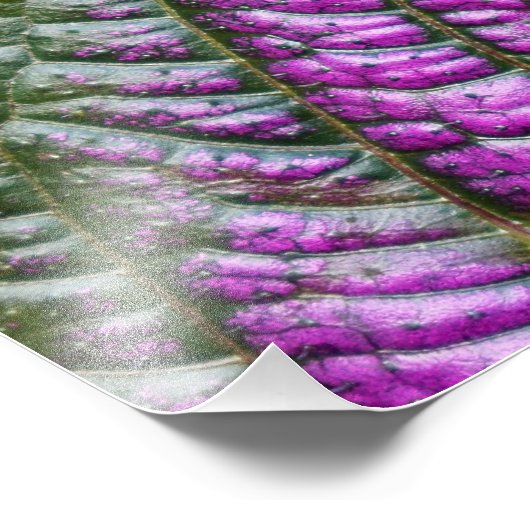 Perzisch schild foto afdruk (Hoek)