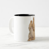 Perzisch spelen (3 jaar oud) tweekleurige koffiemok (Voorkant links)