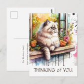 Perzische beige kat in venster met zomerbloemen briefkaart (Voorkant / Achterkant)