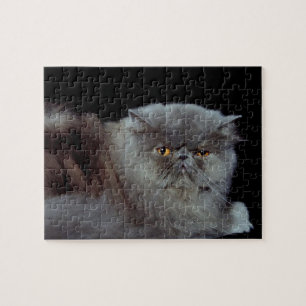 Perzische blauwe kat legpuzzel