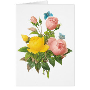  Perzische Gele Rozenthee Rozen van Redoute