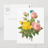  Perzische Gele Rozenthee Rozen van Redoute Briefkaart (Voorkant / Achterkant)