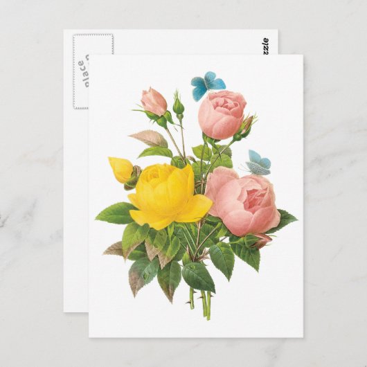  Perzische Gele Rozenthee Rozen van Redoute Briefkaart (Voorkant / Achterkant)