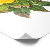  Perzische Gele Rozenthee Rozen van Redoute Poster (Hoek)