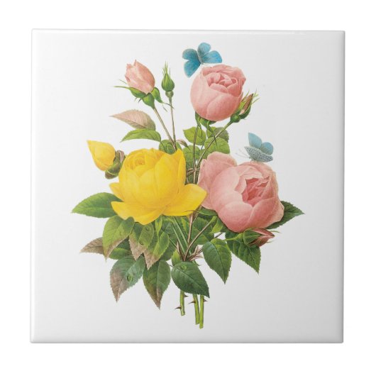  Perzische Gele Rozenthee Rozen van Redoute Tegeltje (Voorkant)