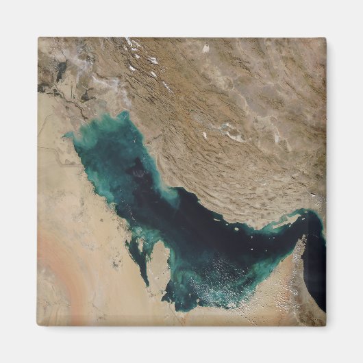 Perzische Golf Magneet (Voorkant)