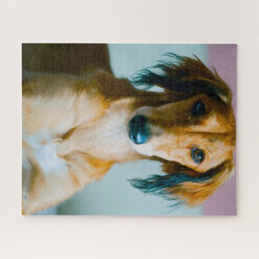 Perzische hond. legpuzzel (Horizontaal)