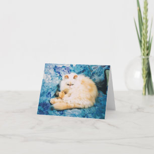 Perzische Kaart voor kattennota