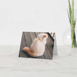 Perzische Kaart voor kattennota