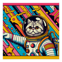 PERZISCHE KAT-ASTRONAUT 3