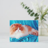 Perzische kat briefkaart (Staand voorkant)
