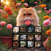 Perzische kat charme het hele jaar lang 20XX Kalender