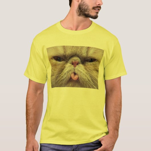 Perzische kat die tong uit tikt t-shirt (Voorkant)