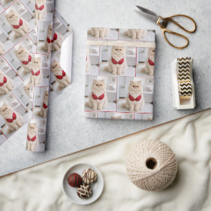 Perzische kat draagt een rode beha cadeaupapier