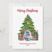 Perzische kat familie Kerstmis Feestdagenkaart (Voorkant)