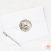 Perzische kat Feline Elegant Ronde Sticker (Envelop)