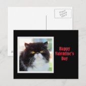 Perzische kat Gelukkige Valentijnsdag Feestdagenkaart (Voorkant / Achterkant)