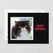 Perzische kat Happy Birthday Briefkaart (Voorkant / Achterkant)