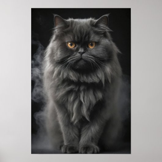 Perzische Kat Huisdier Elegant Dramatisch Portret Poster (Voorkant)