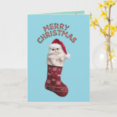Perzische kat Kerstsok Kaart (Gele Bloem)